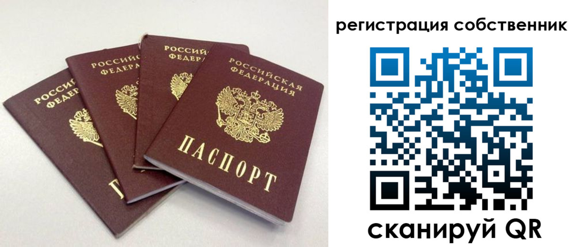 прописка для школы в Северодвинске